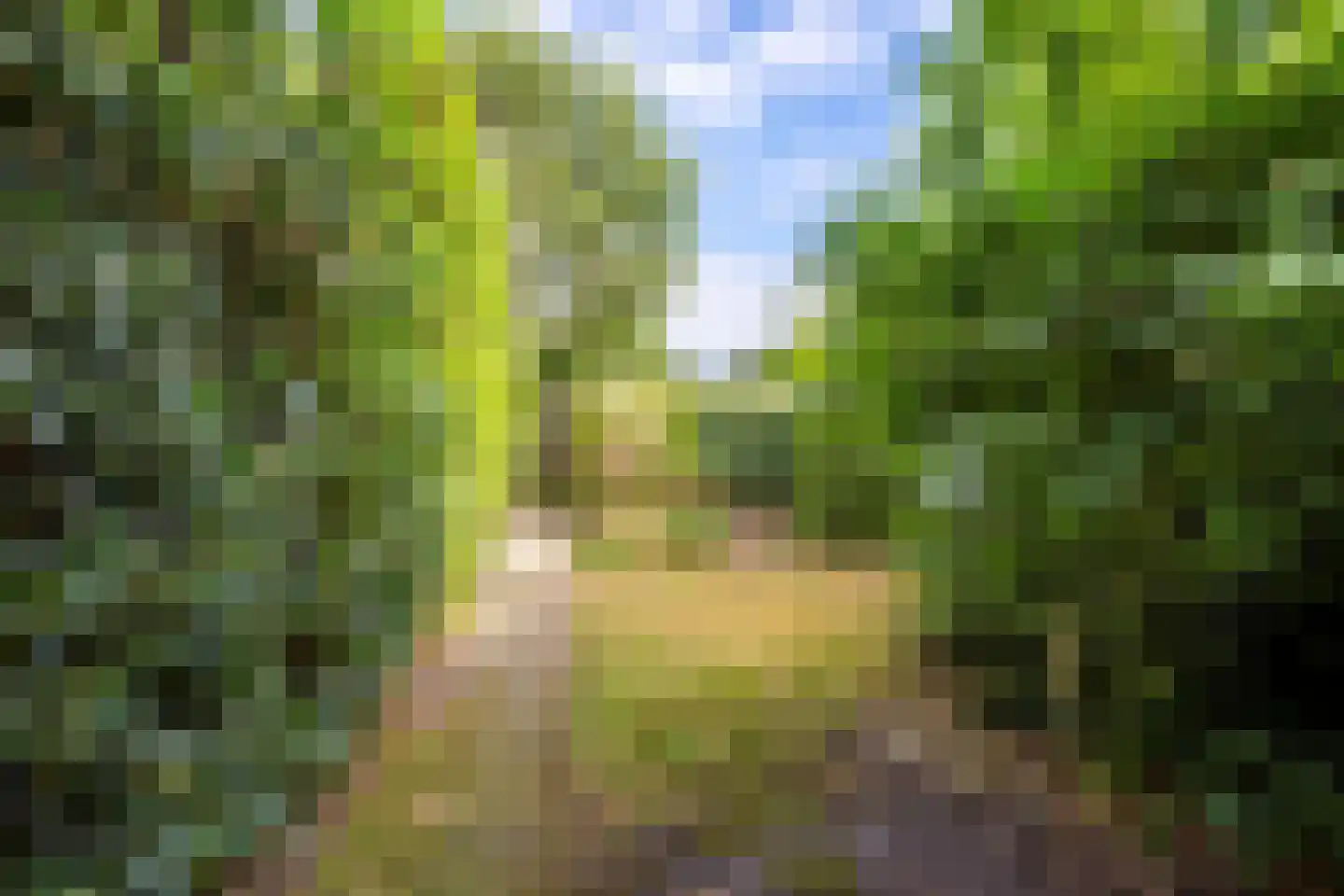 Prinsenhof 6 Hoevelaken thumbnail 15