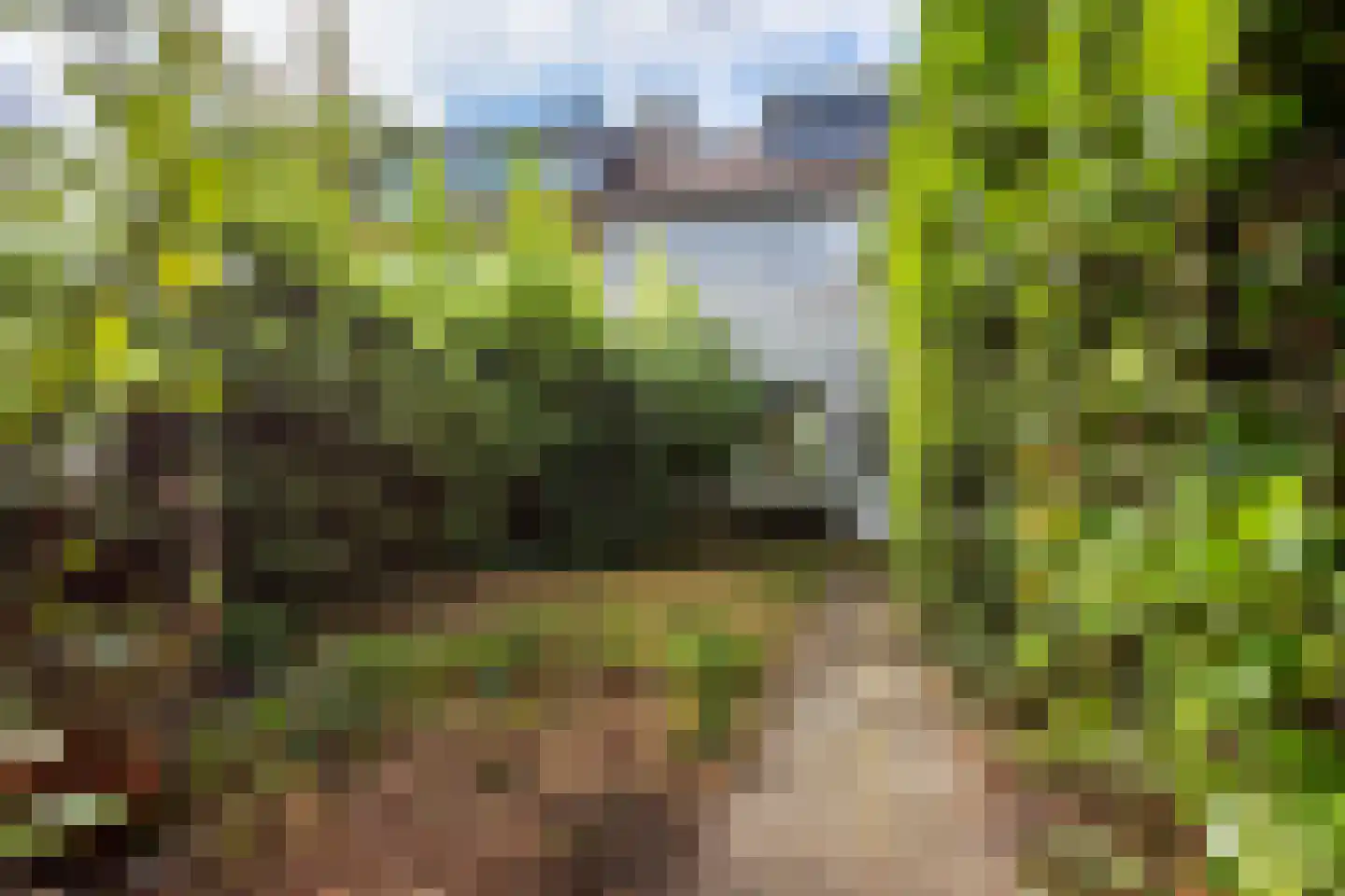 Prinsenhof 6 Hoevelaken thumbnail 16
