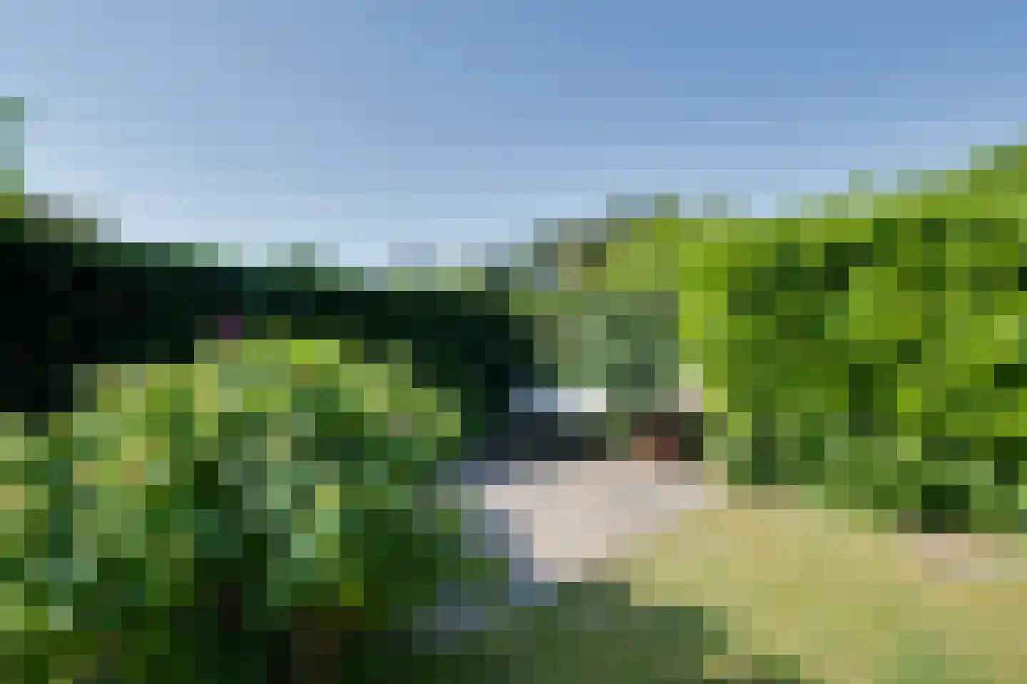 Prinsenhof 60 Ouddorp thumbnail 31