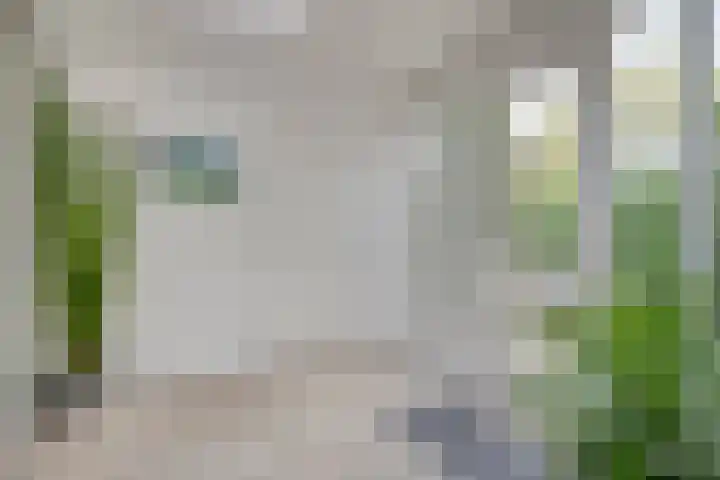 Prinsenhof 7 Harmelen thumbnail 14