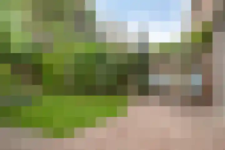 Prinsenhof 7 Harmelen thumbnail 32
