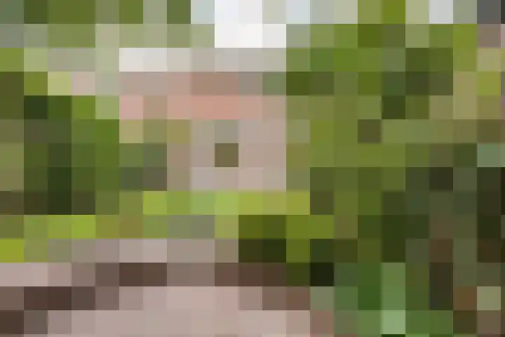 Prinsenhof 7 Harmelen thumbnail 33