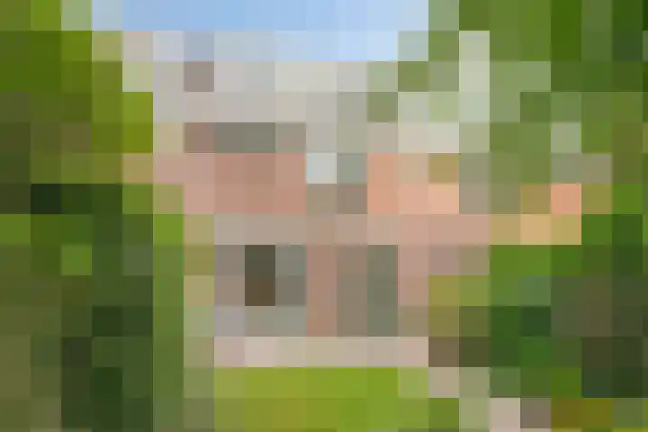Prinsenhof 7 Harmelen thumbnail 34