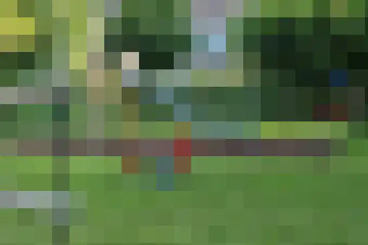 Prinsenhof 7 Harmelen thumbnail 38