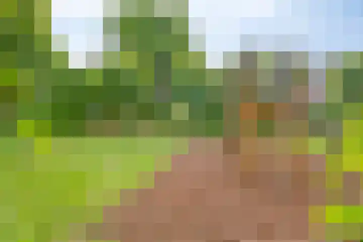 Prinsenhof 7 Harmelen thumbnail 39
