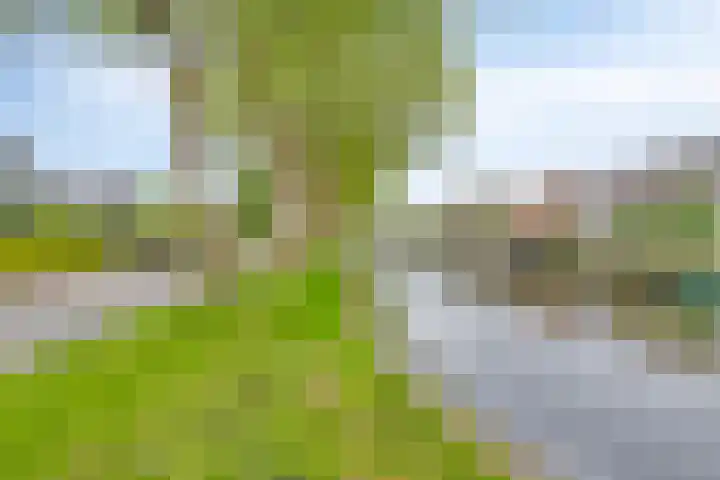 Prinsenhof 7 Harmelen thumbnail 40