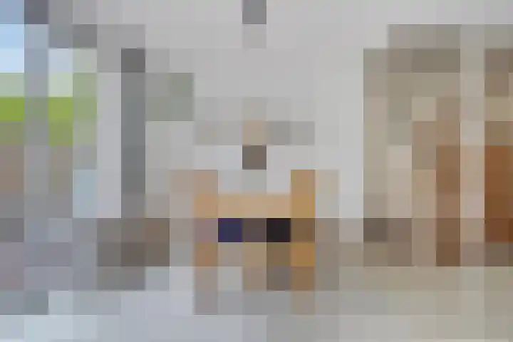 Prinsenhof 7 Harmelen thumbnail 8