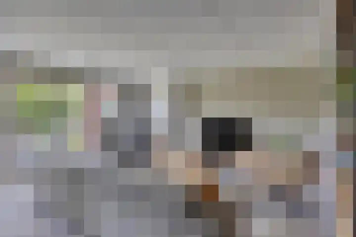 Prinsenhof 75 A Made thumbnail 10