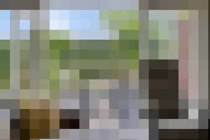 Prinsenhof 75 A Made thumbnail 11