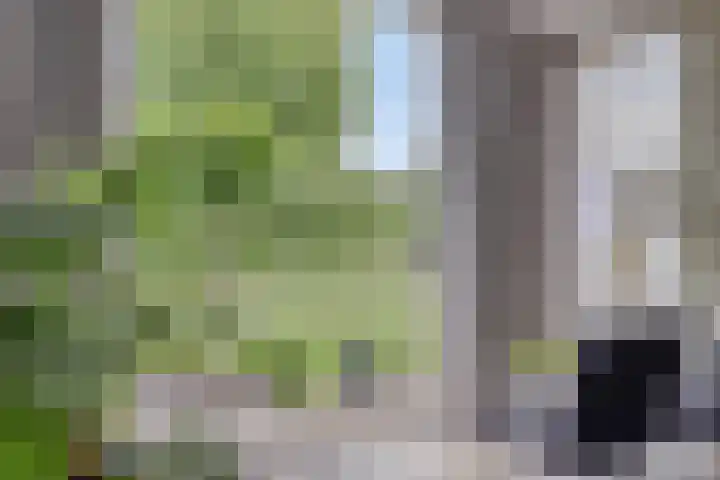 Prinsenhof 75 A Made thumbnail 13