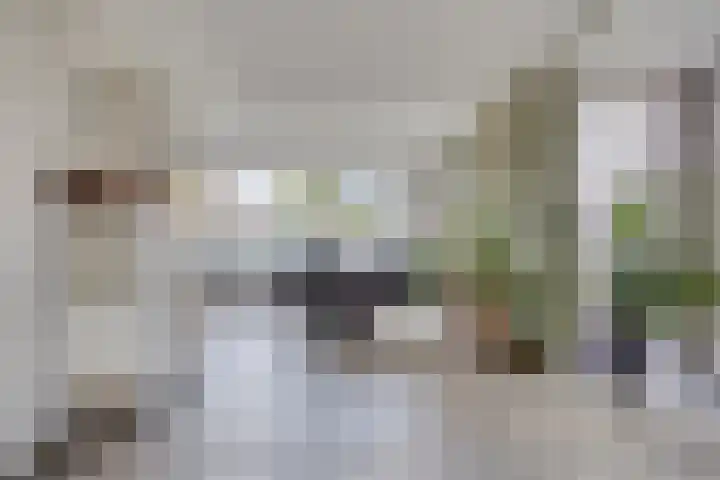 Prinsenhof 75 A Made thumbnail 14