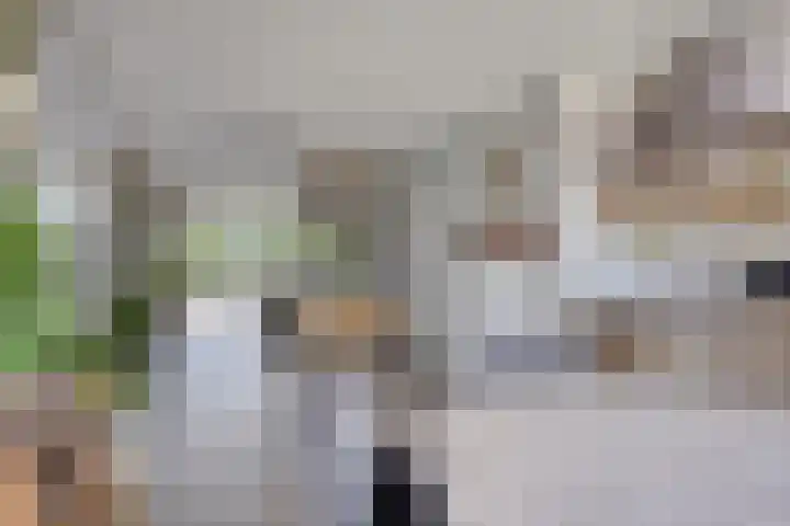 Prinsenhof 75 A Made thumbnail 16
