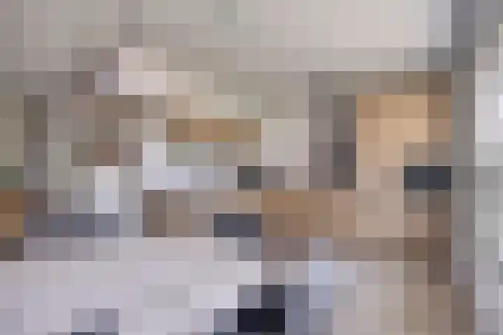 Prinsenhof 75 A Made thumbnail 17
