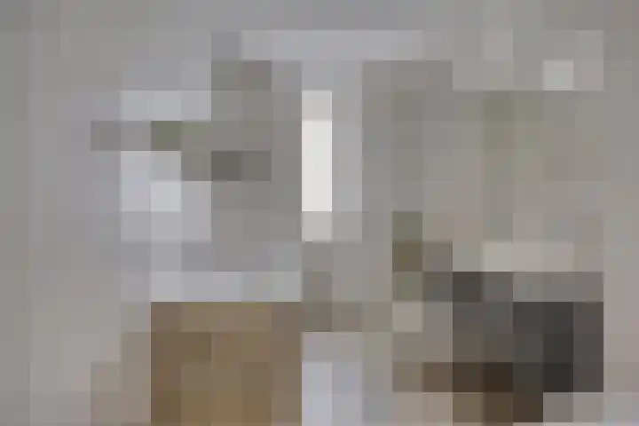 Prinsenhof 75 A Made thumbnail 25