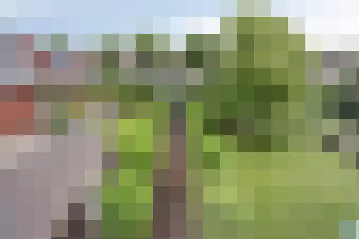 Prinsenhof 75 A Made thumbnail 37