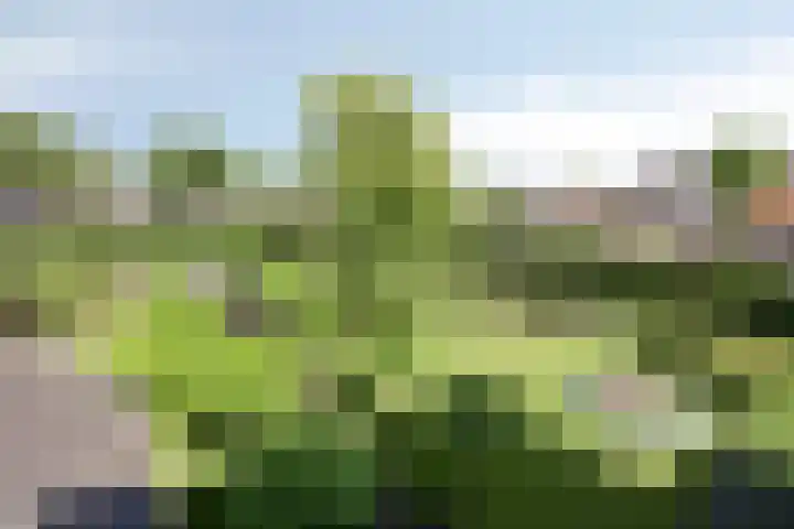 Prinsenhof 75 A Made thumbnail 4