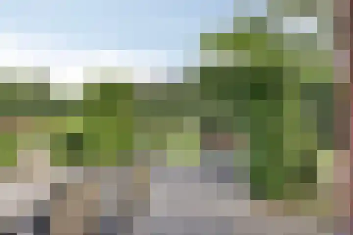 Prinsenhof 75 A Made thumbnail 43