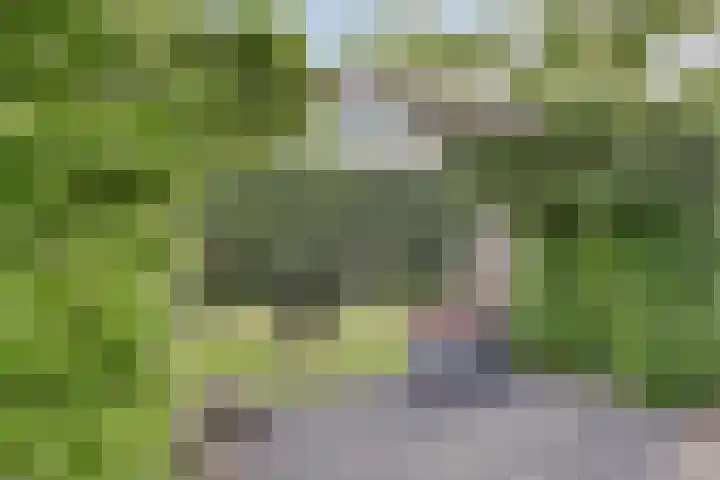 Prinsenhof 75 A Made thumbnail 44