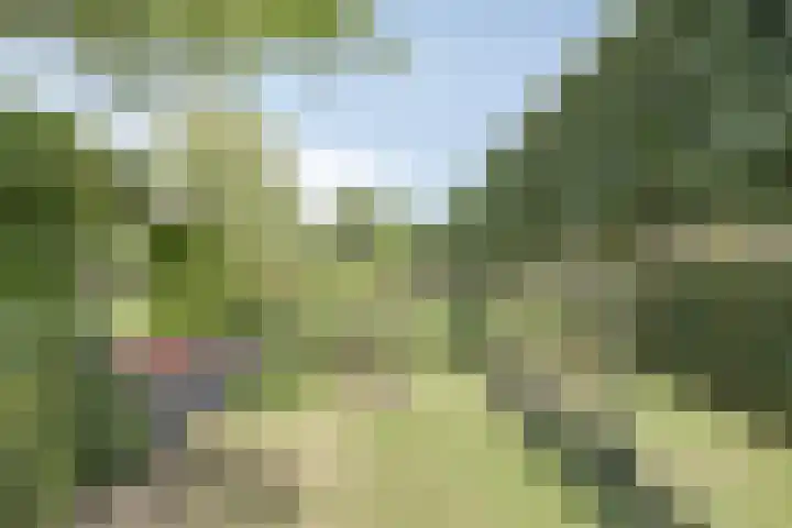 Prinsenhof 75 A Made thumbnail 45