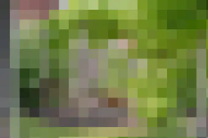 Prinsenhof 75 A Made thumbnail 47