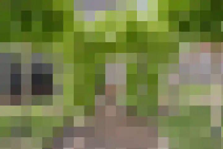 Prinsenhof 75 A Made thumbnail 48