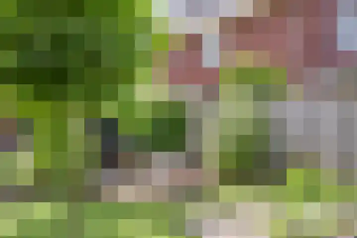 Prinsenhof 75 A Made thumbnail 50