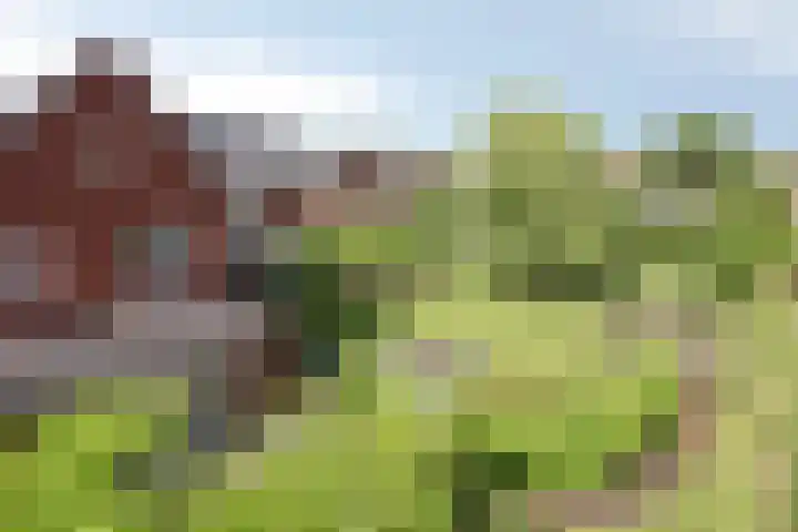 Prinsenhof 75 A Made thumbnail 53