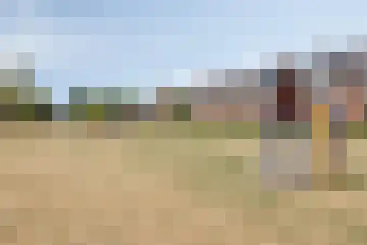 Prinsenhof 75 A Made thumbnail 59