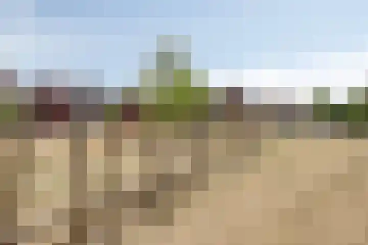 Prinsenhof 75 A Made thumbnail 61