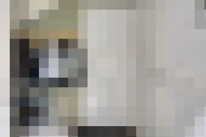 Prinsenhof 75 A Made thumbnail 8
