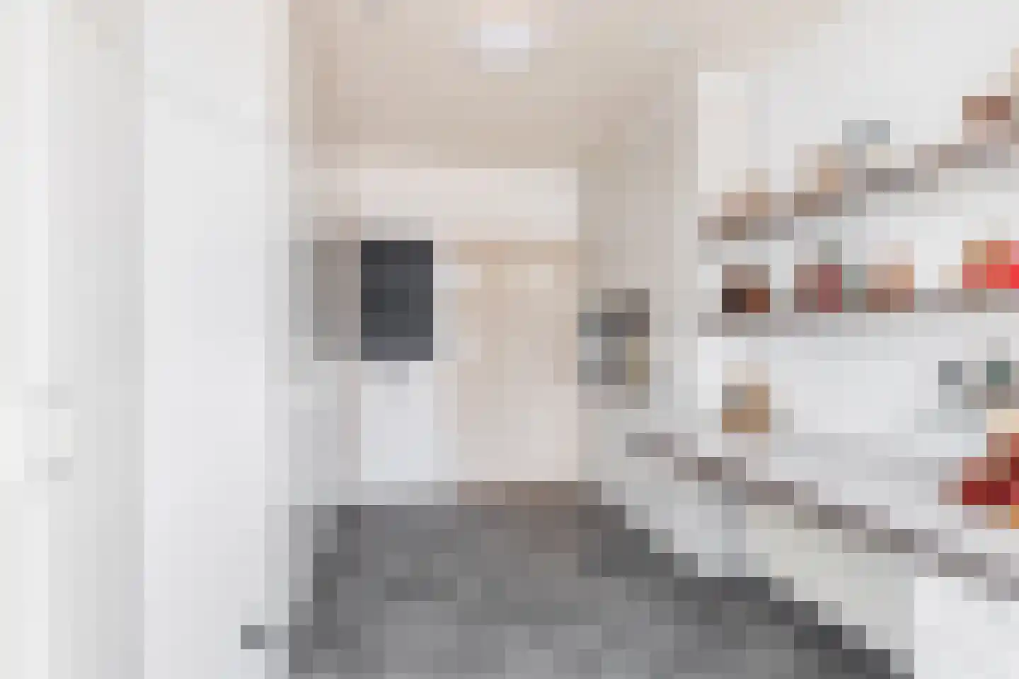 Prinsenhof 8 Deurne thumbnail 33