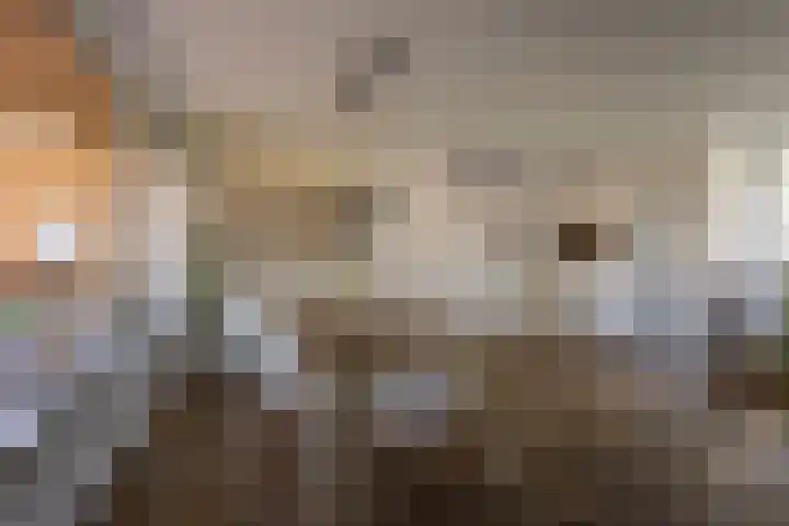Prinsenhof 8 Hoevelaken thumbnail 14