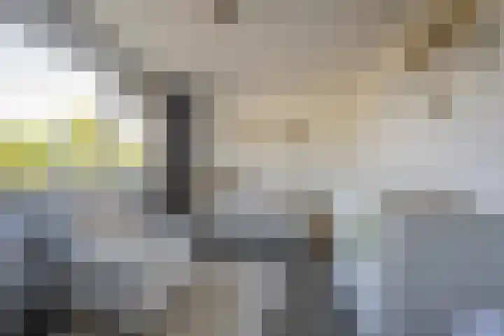 Prinsenhof 8 Hoevelaken thumbnail 20