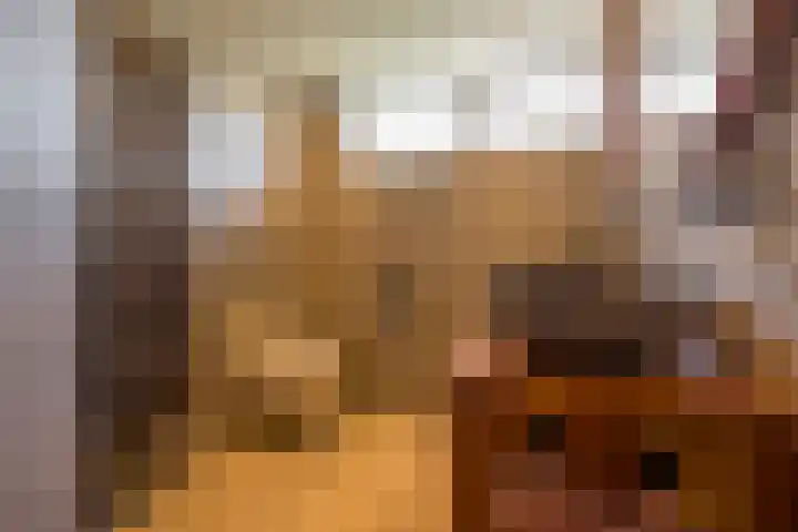 Prinsenhof 8 Hoevelaken thumbnail 22