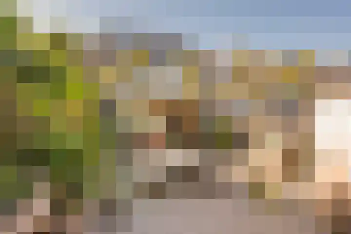Prinsenhof 8 Hoevelaken thumbnail 29
