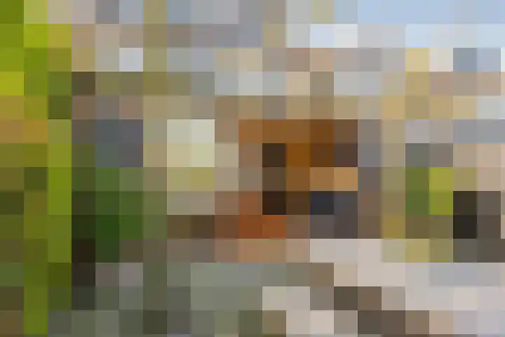 Prinsenhof 8 Hoevelaken thumbnail 30