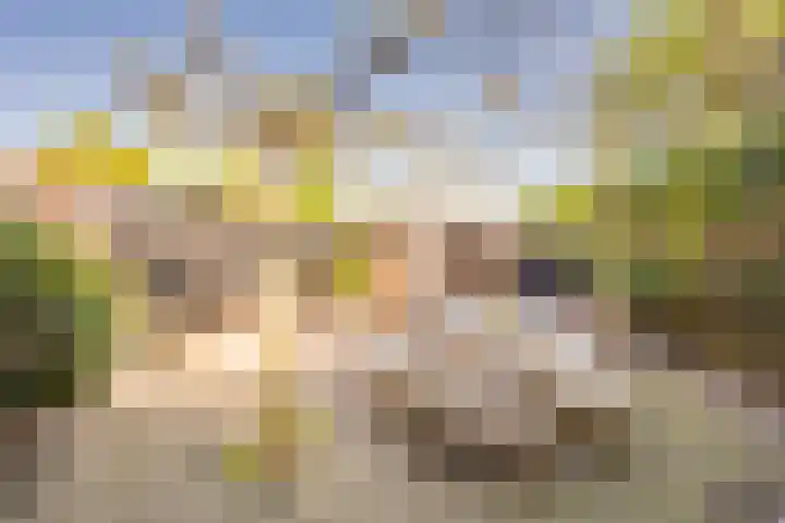 Prinsenhof 8 Hoevelaken thumbnail 31