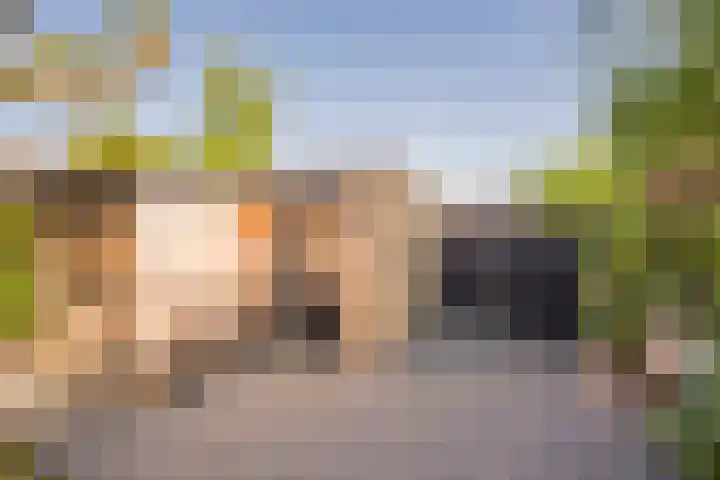 Prinsenhof 8 Hoevelaken thumbnail 34