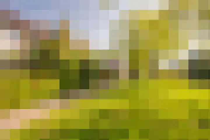 Prinsenhof 8 Hoevelaken thumbnail 36