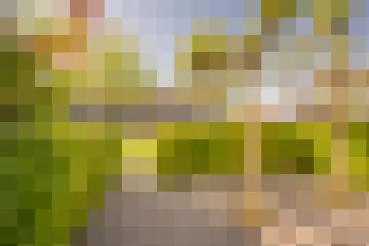 Prinsenhof 8 Hoevelaken thumbnail 37