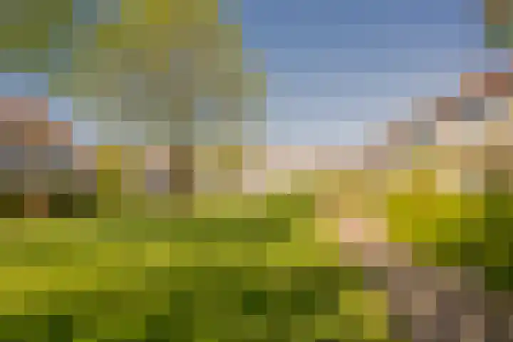 Prinsenhof 8 Hoevelaken thumbnail 38