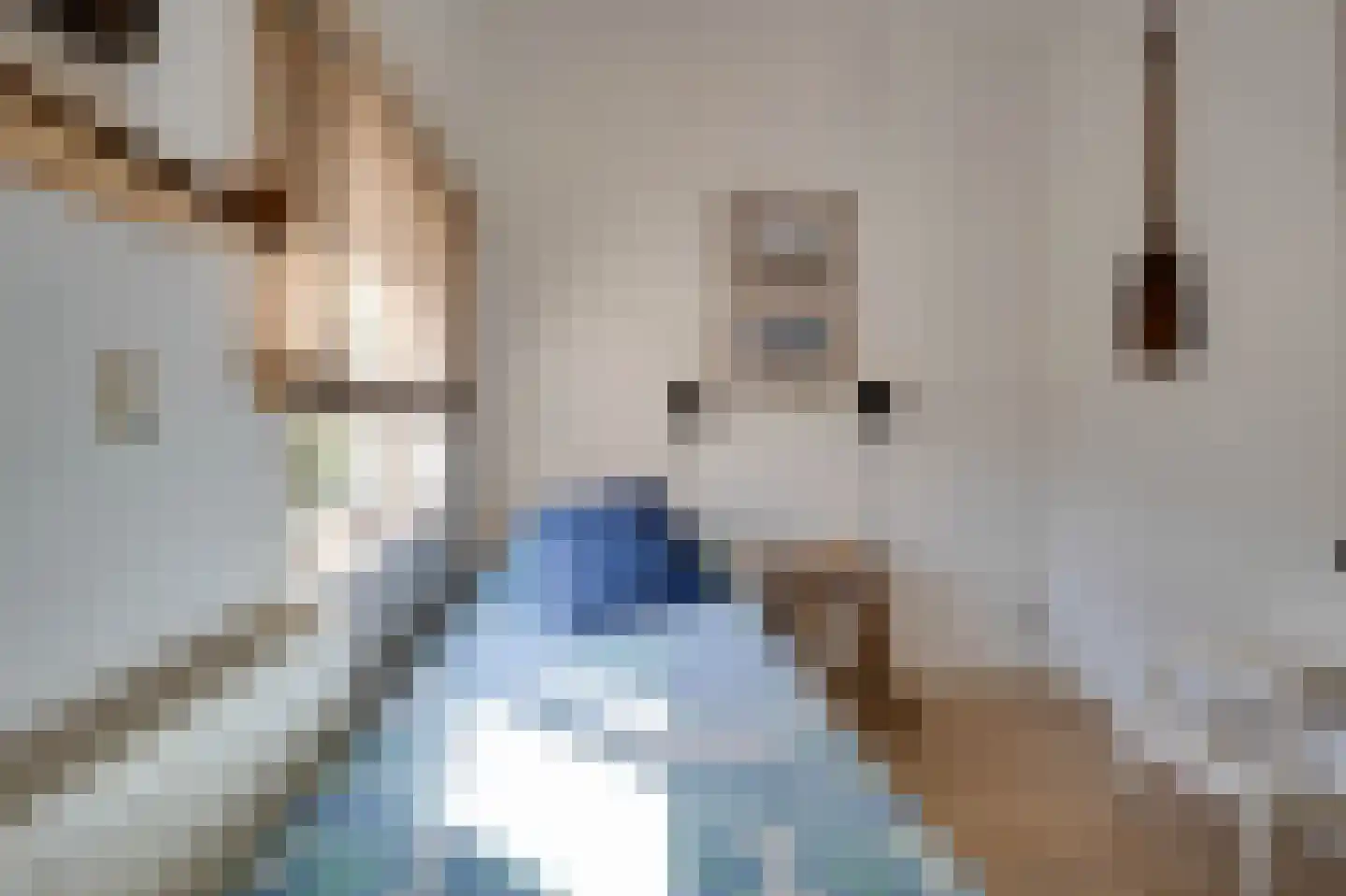 Prinsenhof 83 Ouddorp thumbnail 13