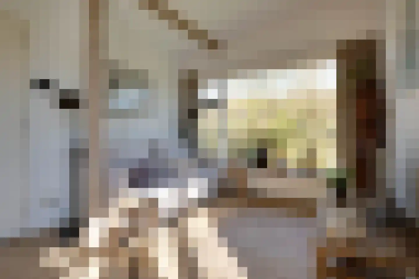 Prinsenhof 83 Ouddorp thumbnail 5