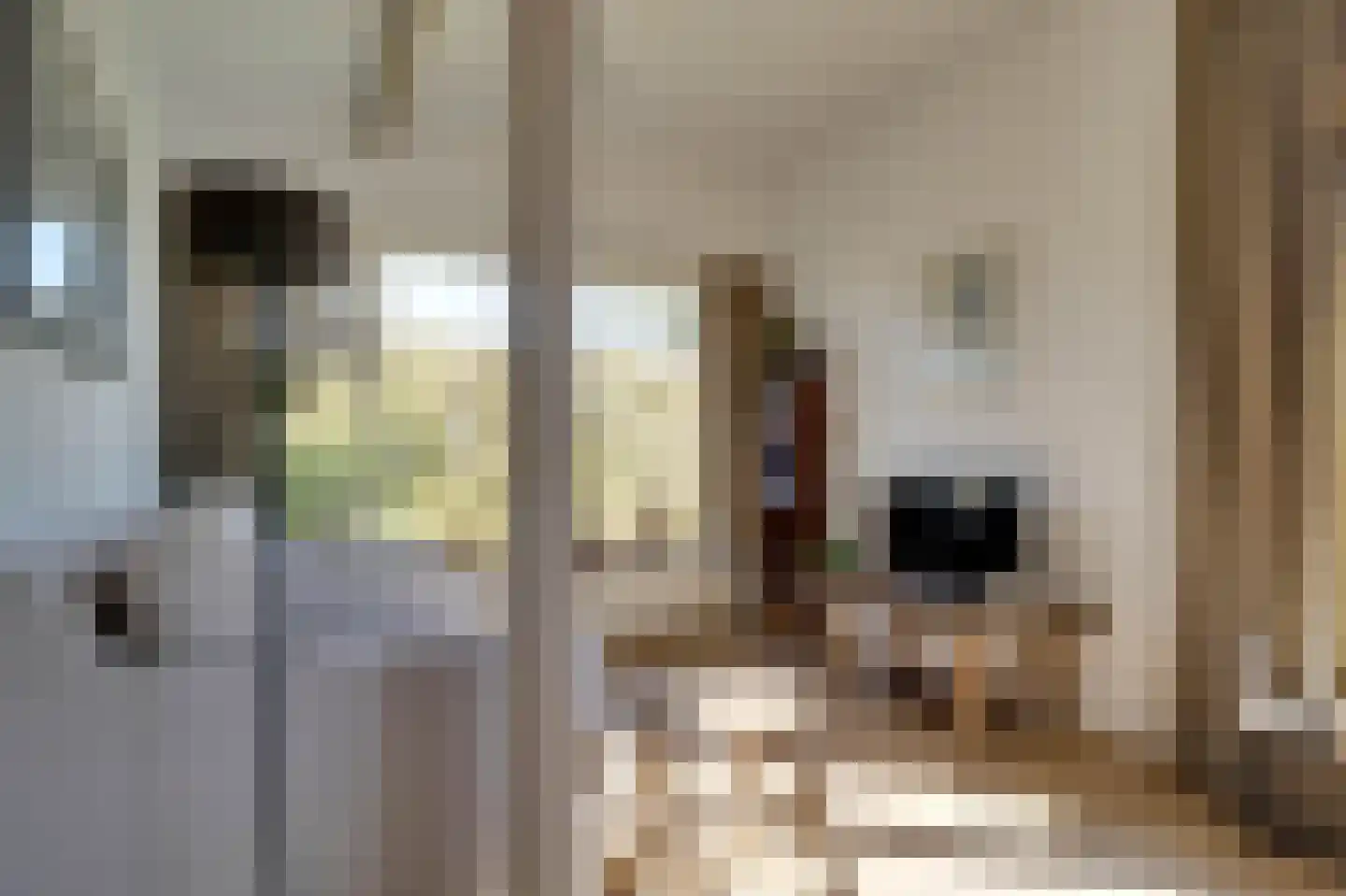 Prinsenhof 83 Ouddorp thumbnail 6