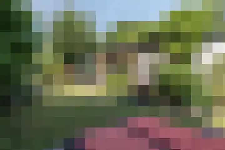 Prinsenhof 85 in Ouddorp