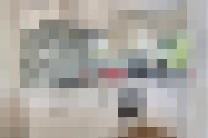 Prinsenhof 85 Ouddorp thumbnail 12