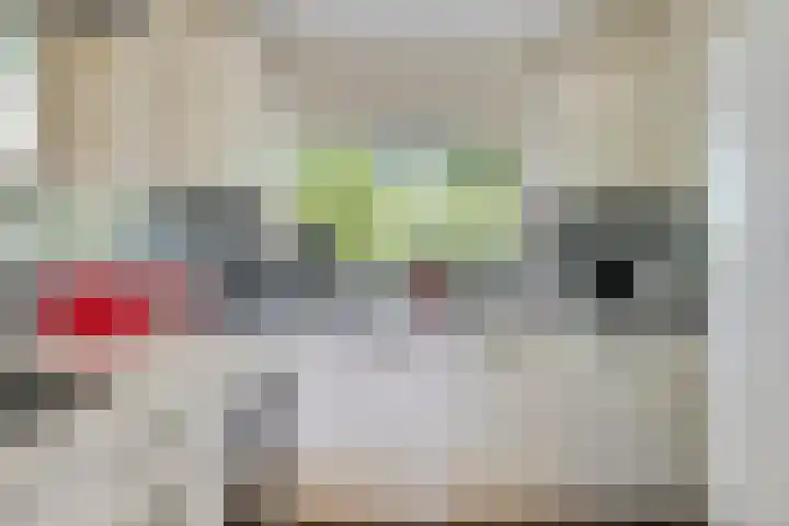 Prinsenhof 85 Ouddorp thumbnail 13