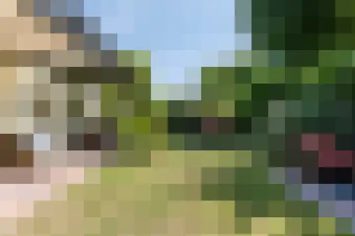 Prinsenhof 85 Ouddorp thumbnail 19