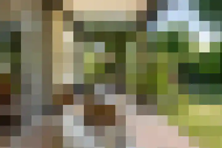 Prinsenhof 85 Ouddorp thumbnail 20