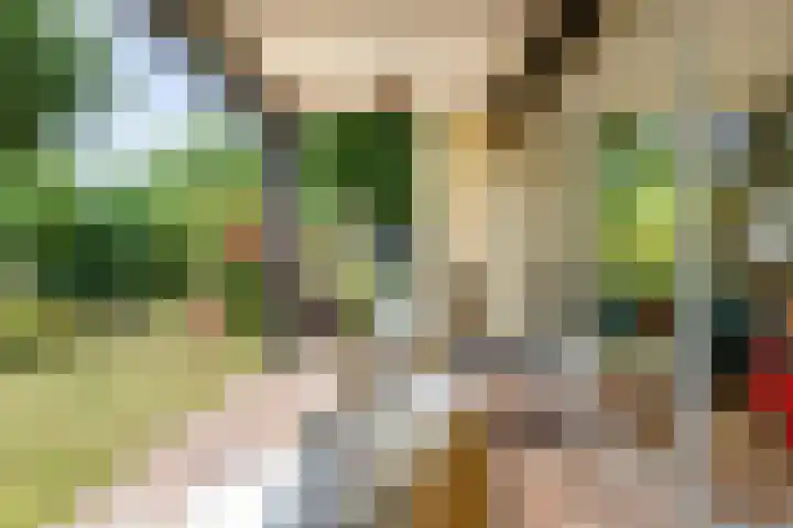Prinsenhof 85 Ouddorp thumbnail 21